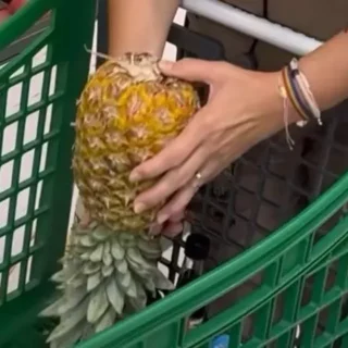 Il Governo sta studiando la creazione di una società che produca centrali nucleari in Italia