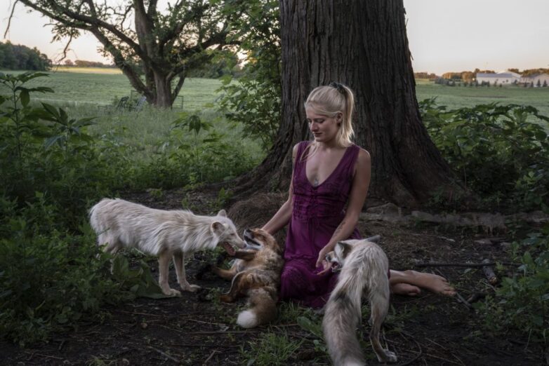 La donna che salva le volpi