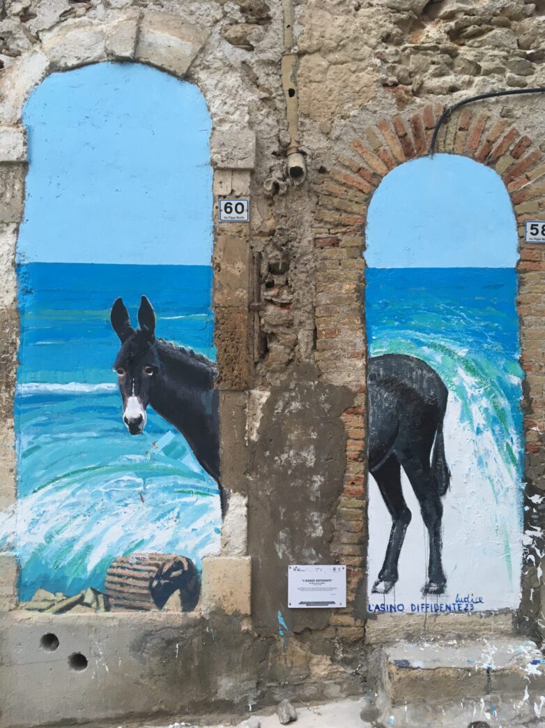 L’asino diffidente