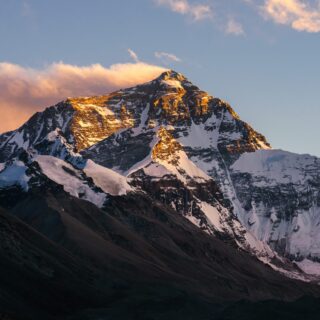 Video: Man Kind Man, il film